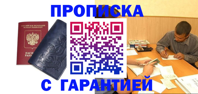 прописка поиск в Новгородской области